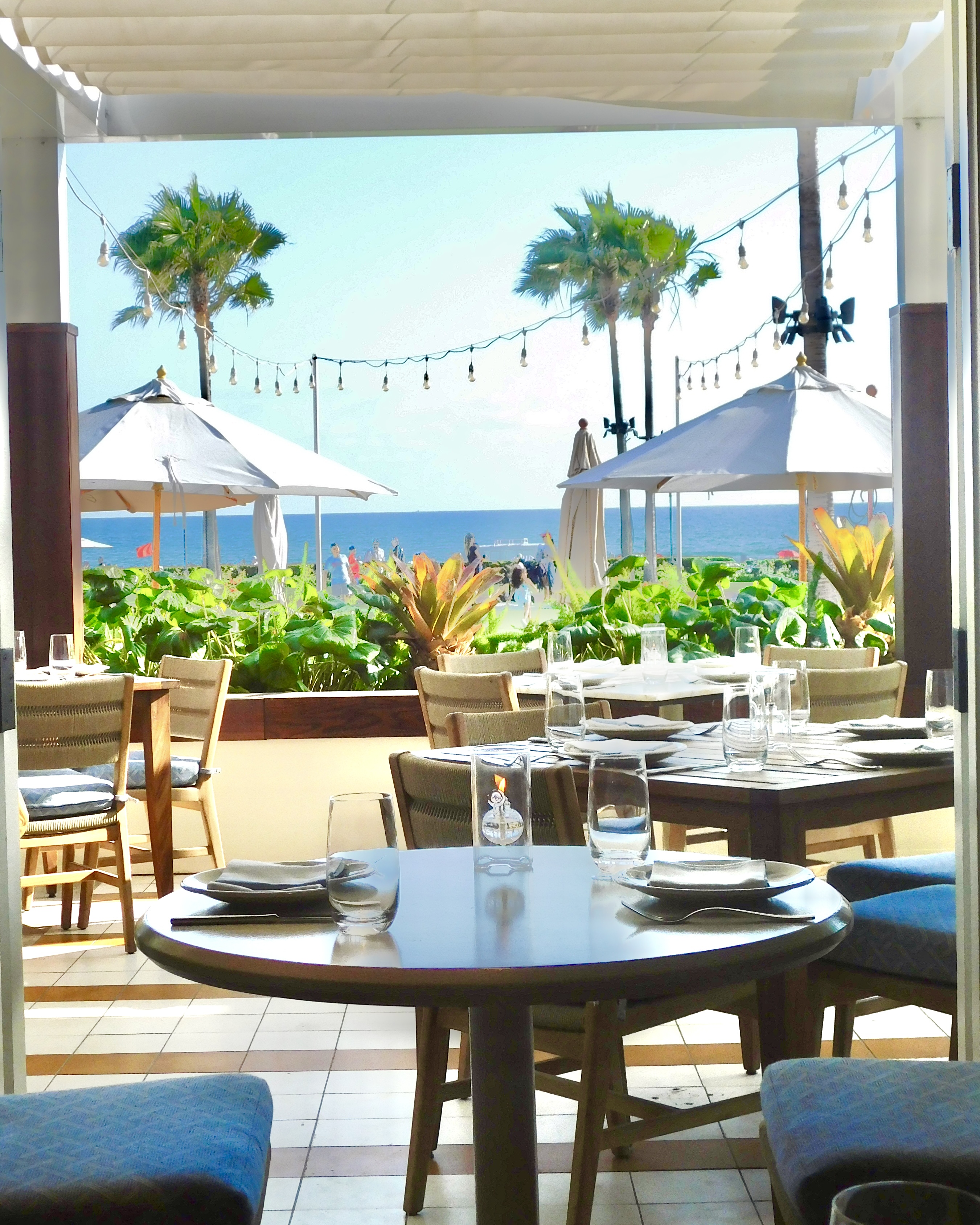 Mediterranean-inspired seafood dishes at Serea in Coronado with oceanfront views, fresh coastal ingredients, and elegant outdoor dining at Hotel del Coronado