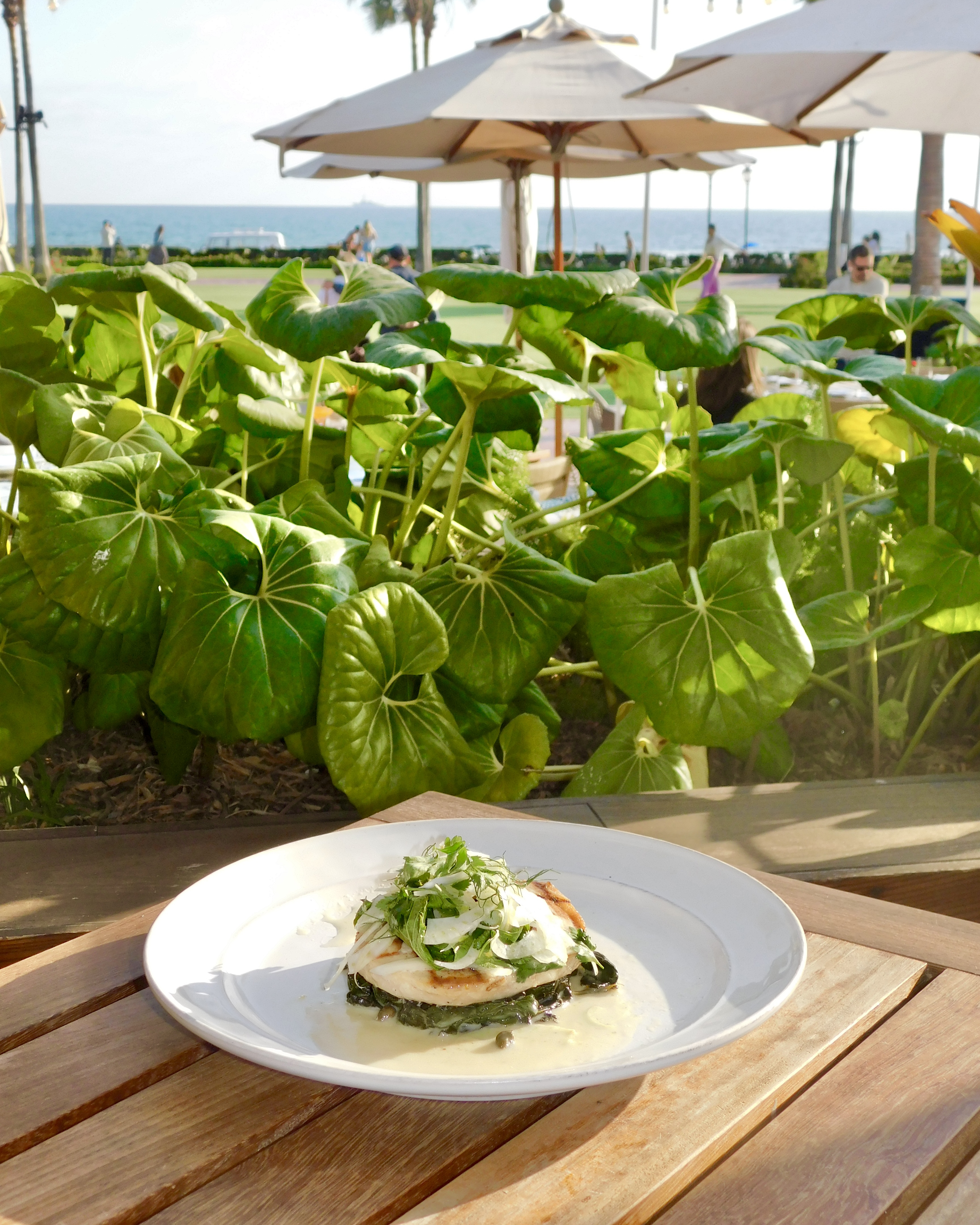 Serea Coastal Cuisine at Hotel del Coronado serving fresh seafood, Mediterranean-inspired dishes, and brunch with oceanfront views on Coronado Island