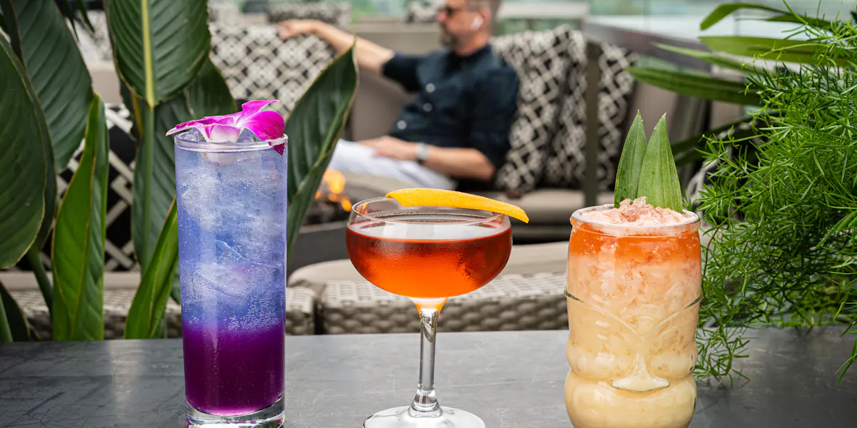 THE GROVE at Assembly | Assembly Rooftop Lounge | Upscale Rooftop Bar ...