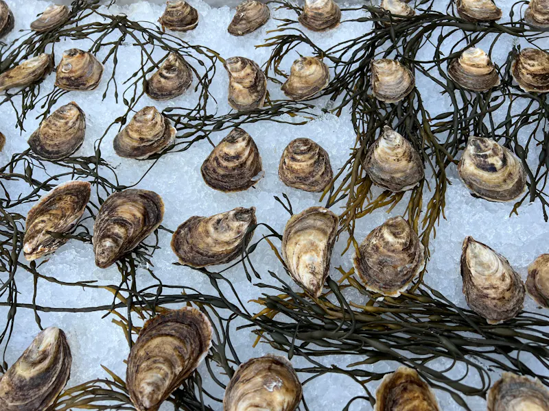 Oyster bubbles assembly rooftop lounge upscale rooftop bar in
