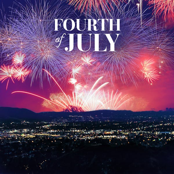 fireworks in the sky