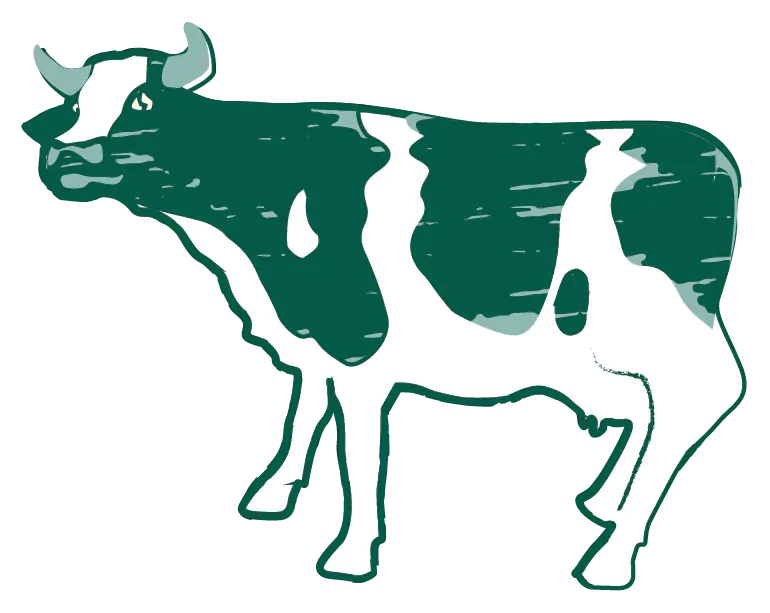 a close up of a logo