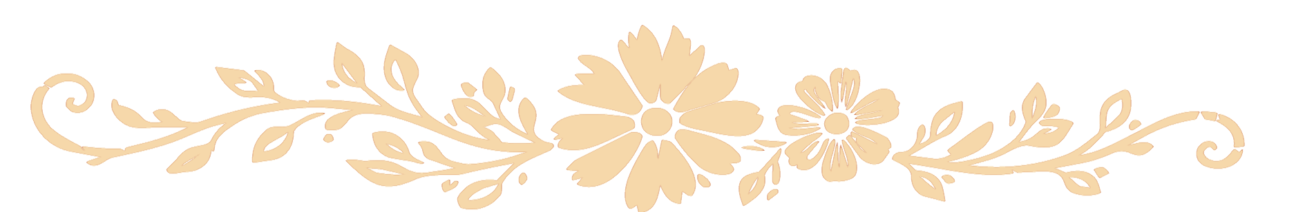 a flower with a black background