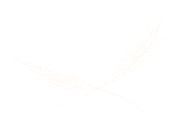 fireworks in the background