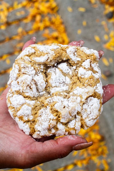 October Gooey of the Month Tin 🧡 Pumpkin Gooey Butter Cookie Rosie