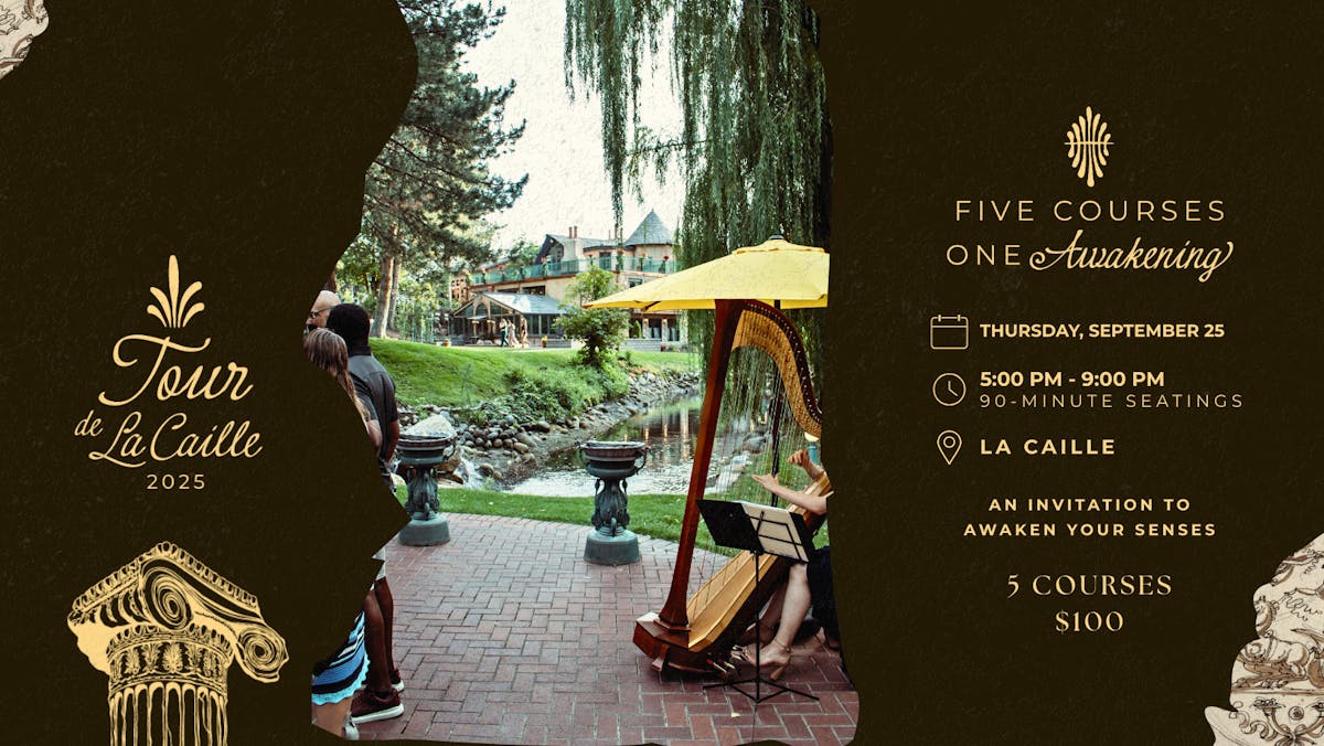 Gallery Slide 1