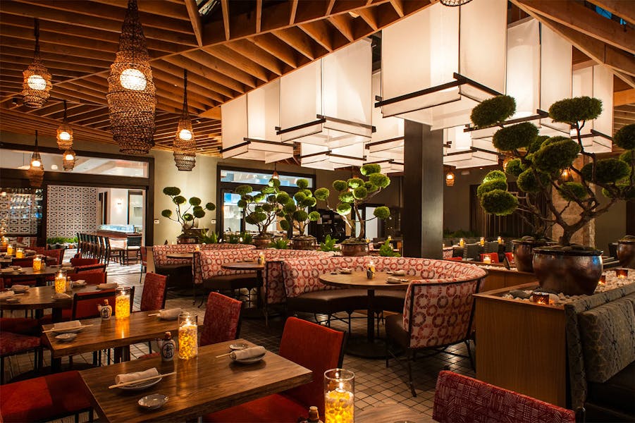 Discover San Laurel at The Grand in Downtown Los Angeles
