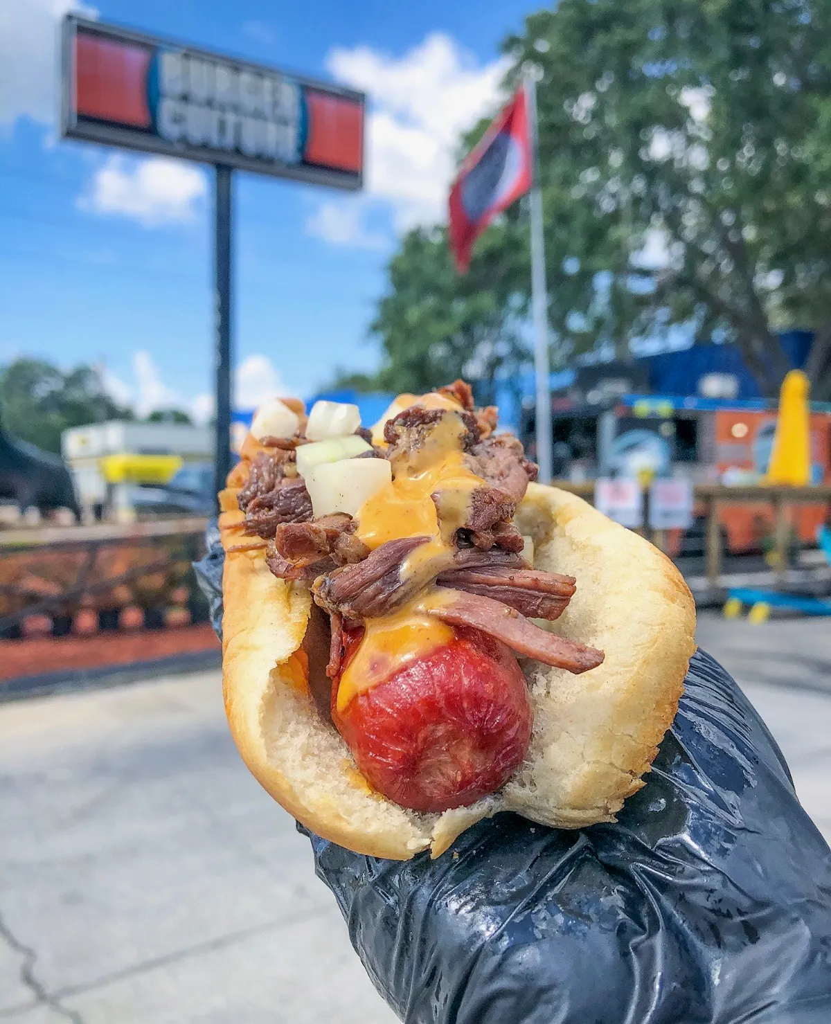 a person holding a hot dog