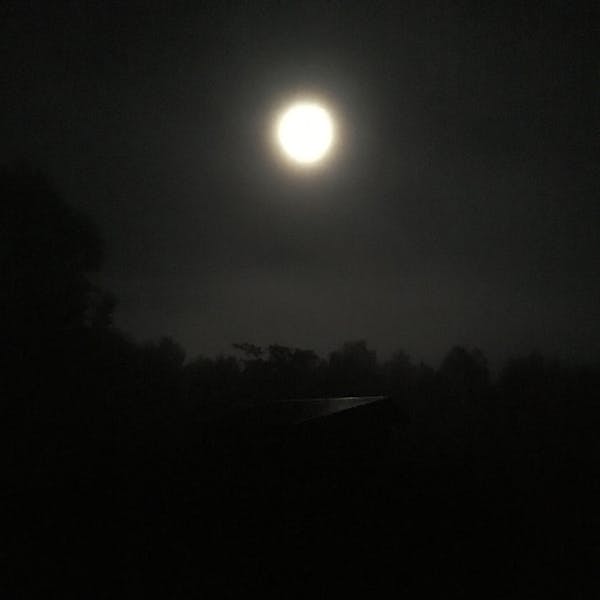 a sky view looking up at night