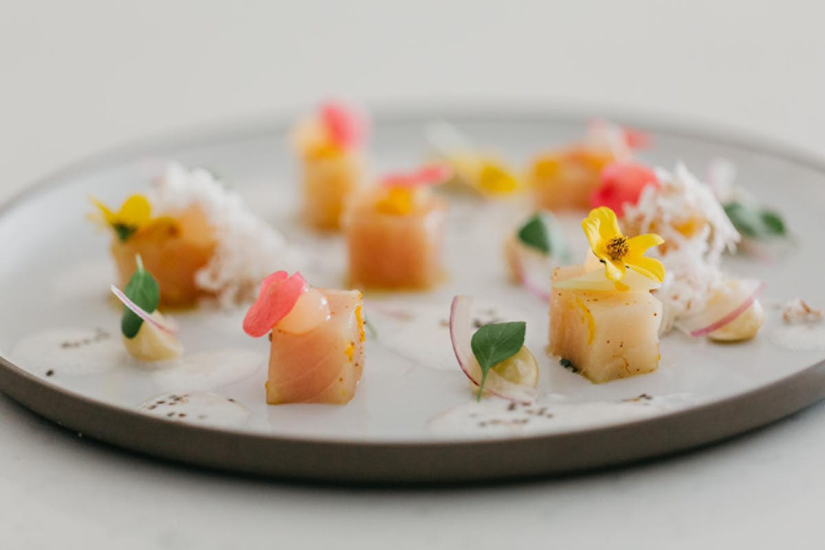 a plate of food