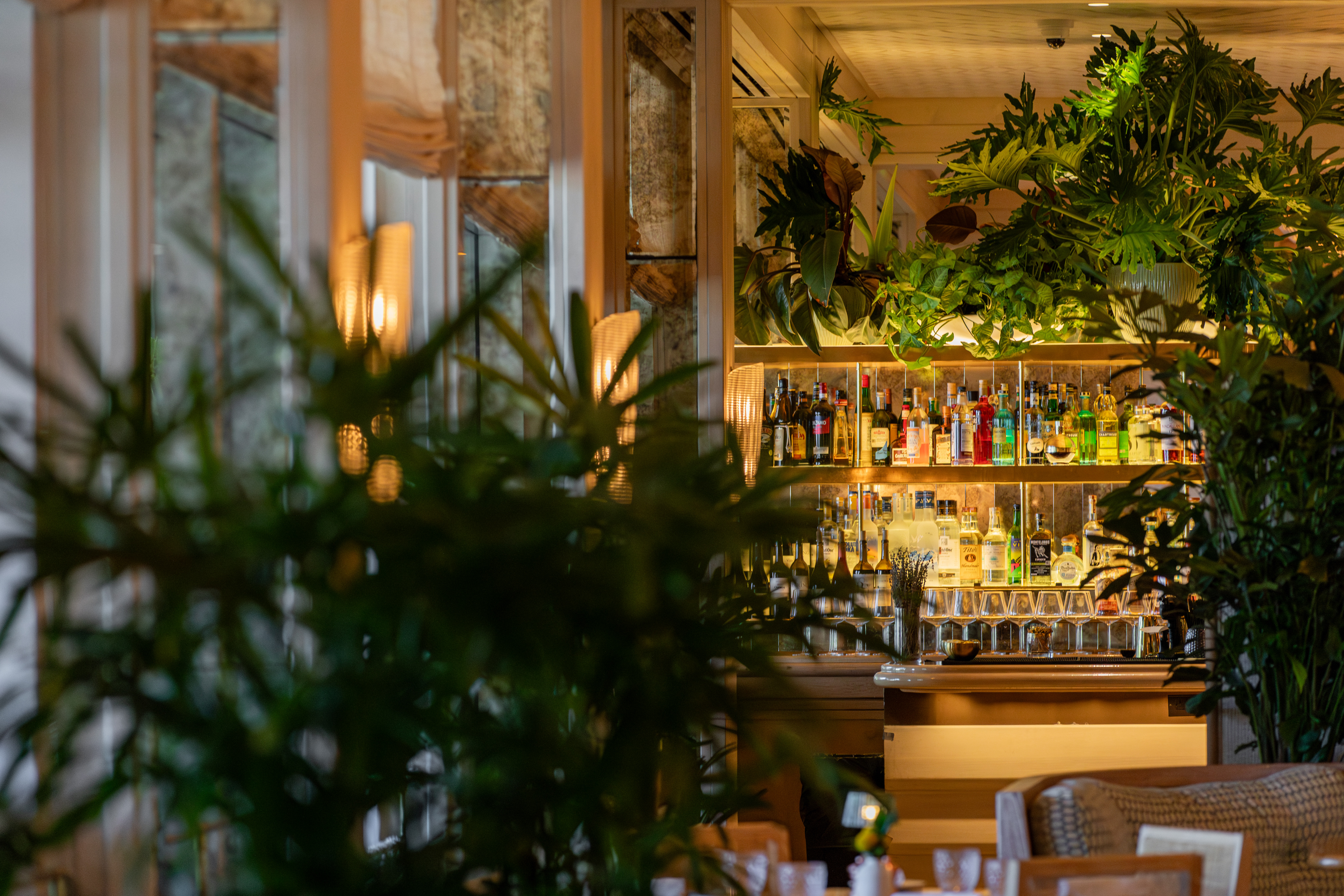 Florie's Bar at Golden Hour
