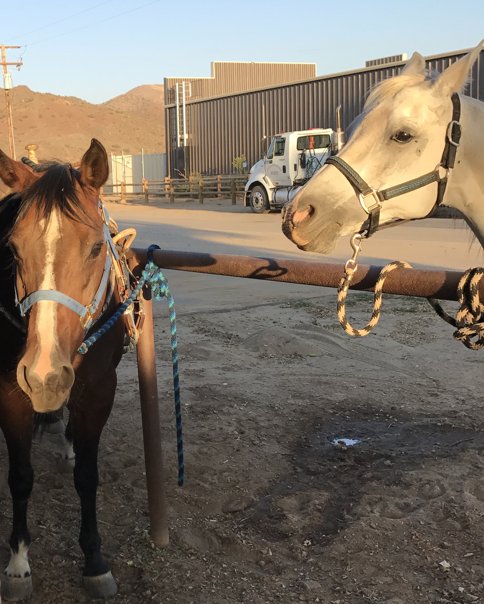 Hitching Posts