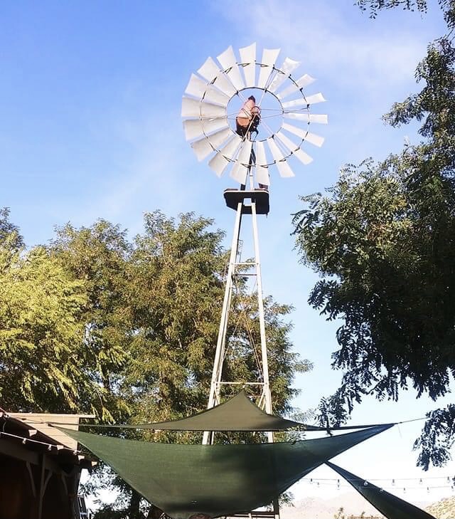a statue of a tree