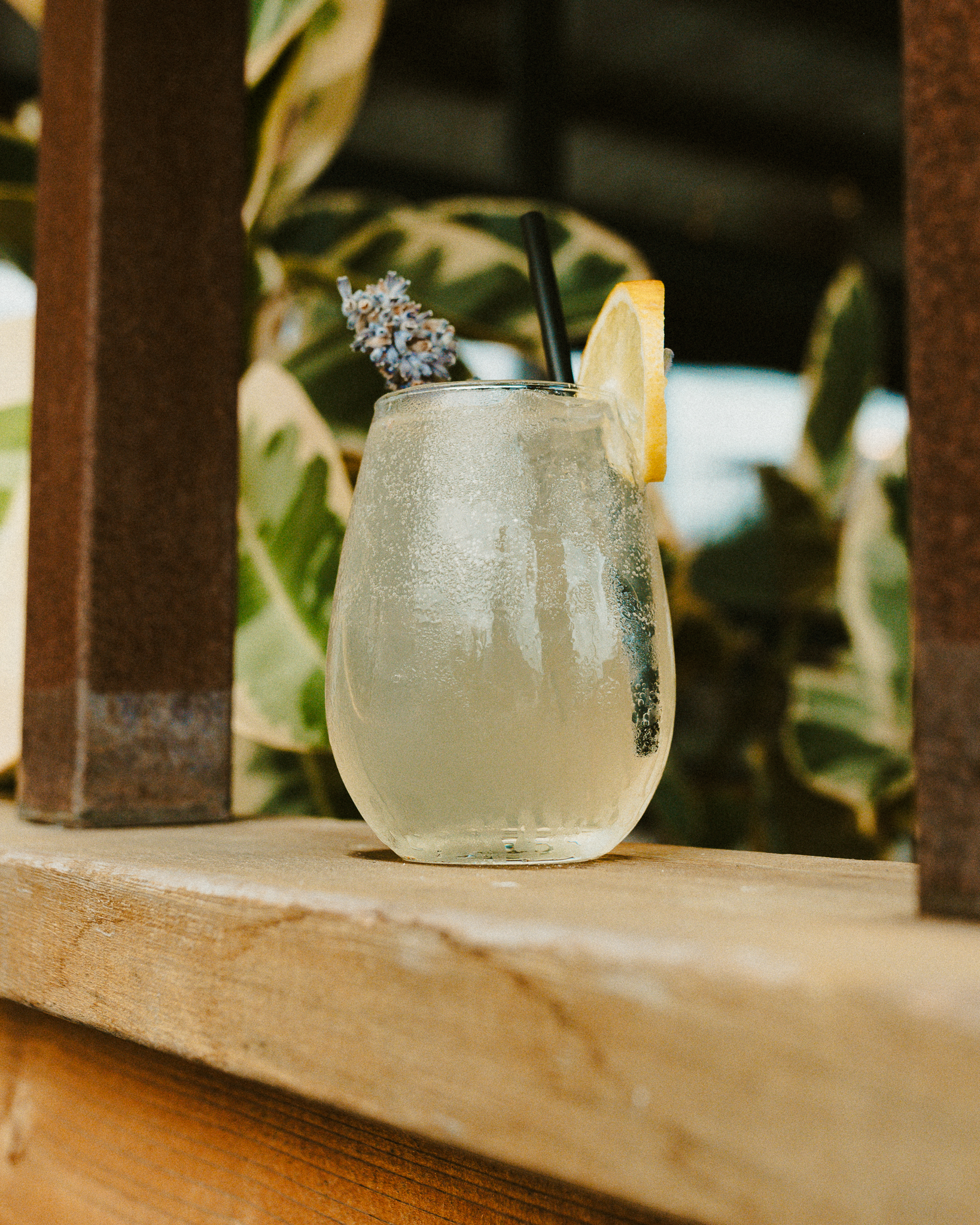 Vodka Lavender Tonic
