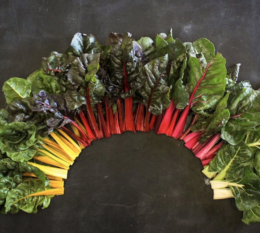 a close up of many different vegetables on display