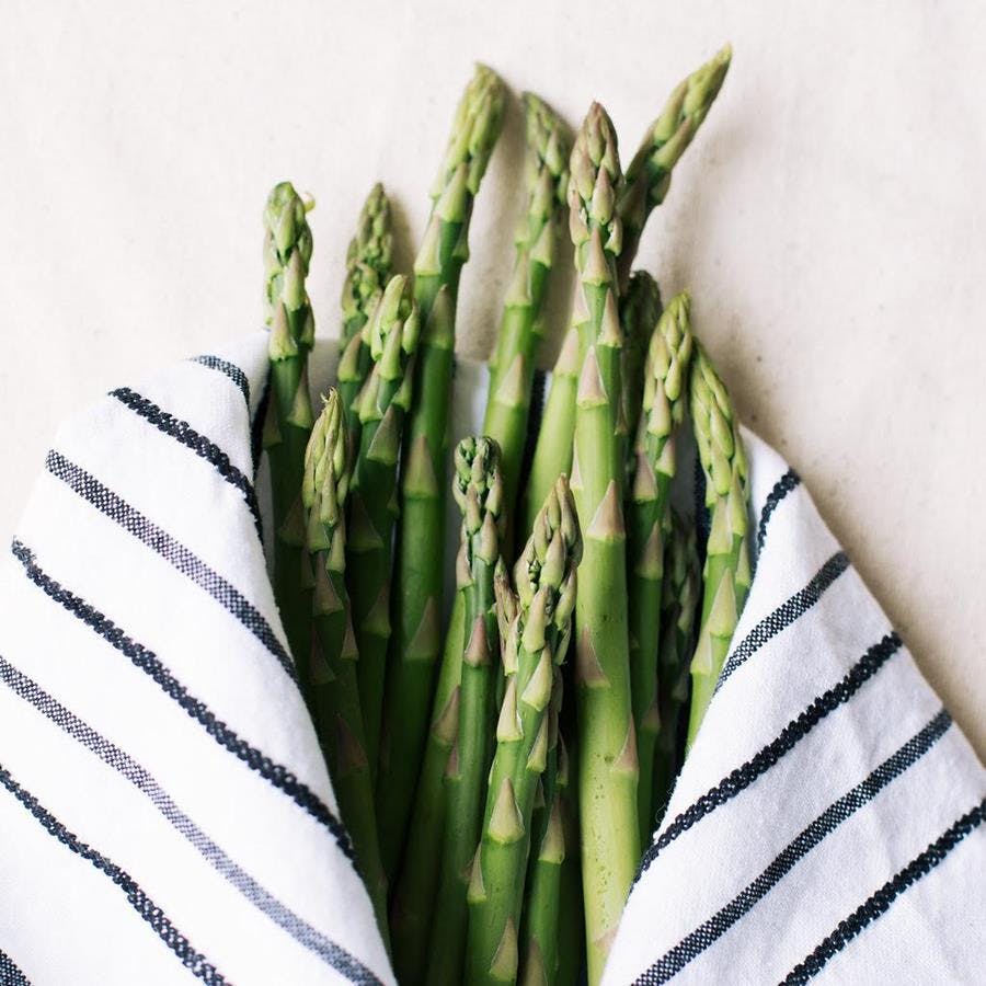 a close up of a plant