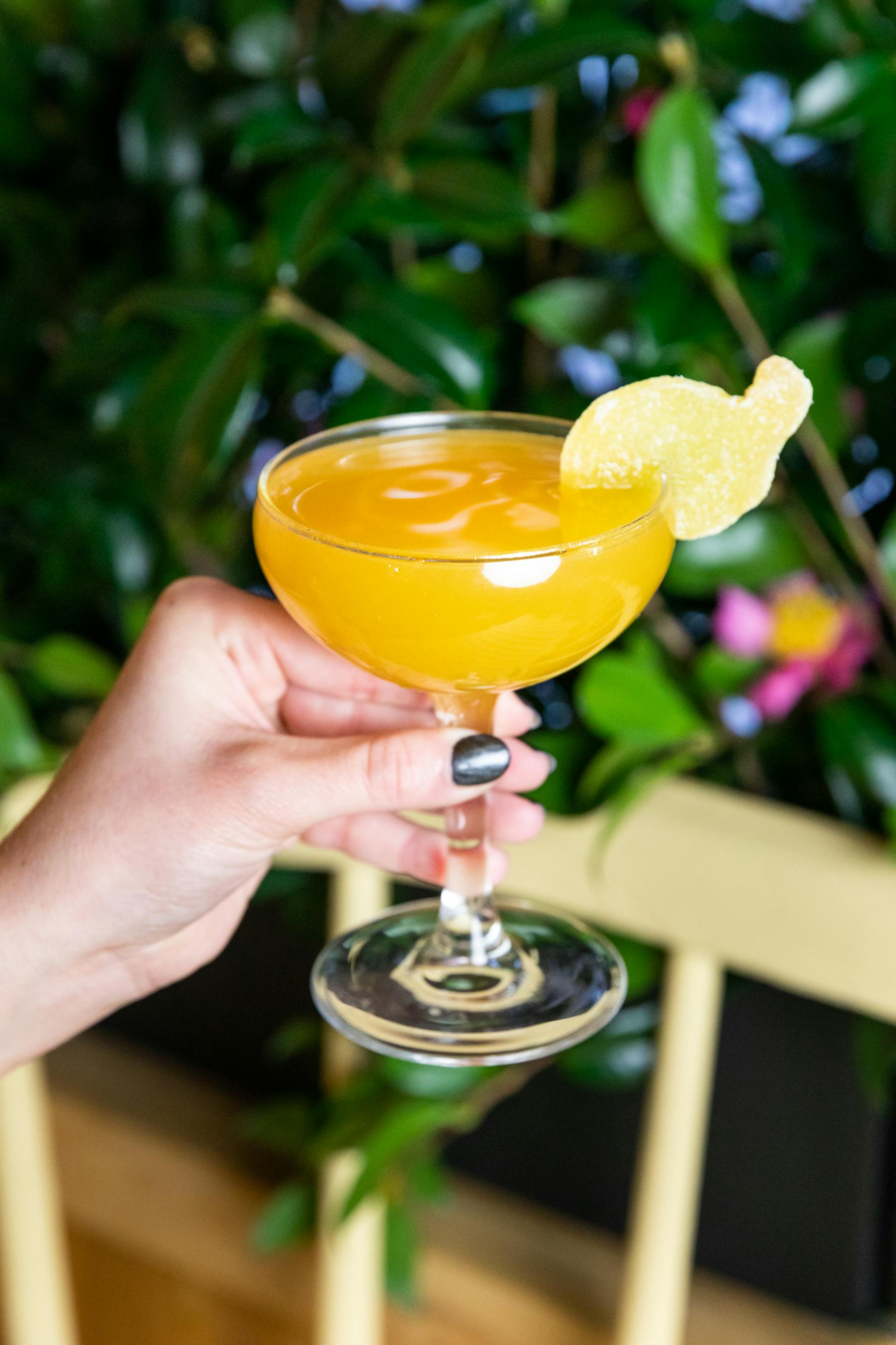 a hand holding a glass of orange juice