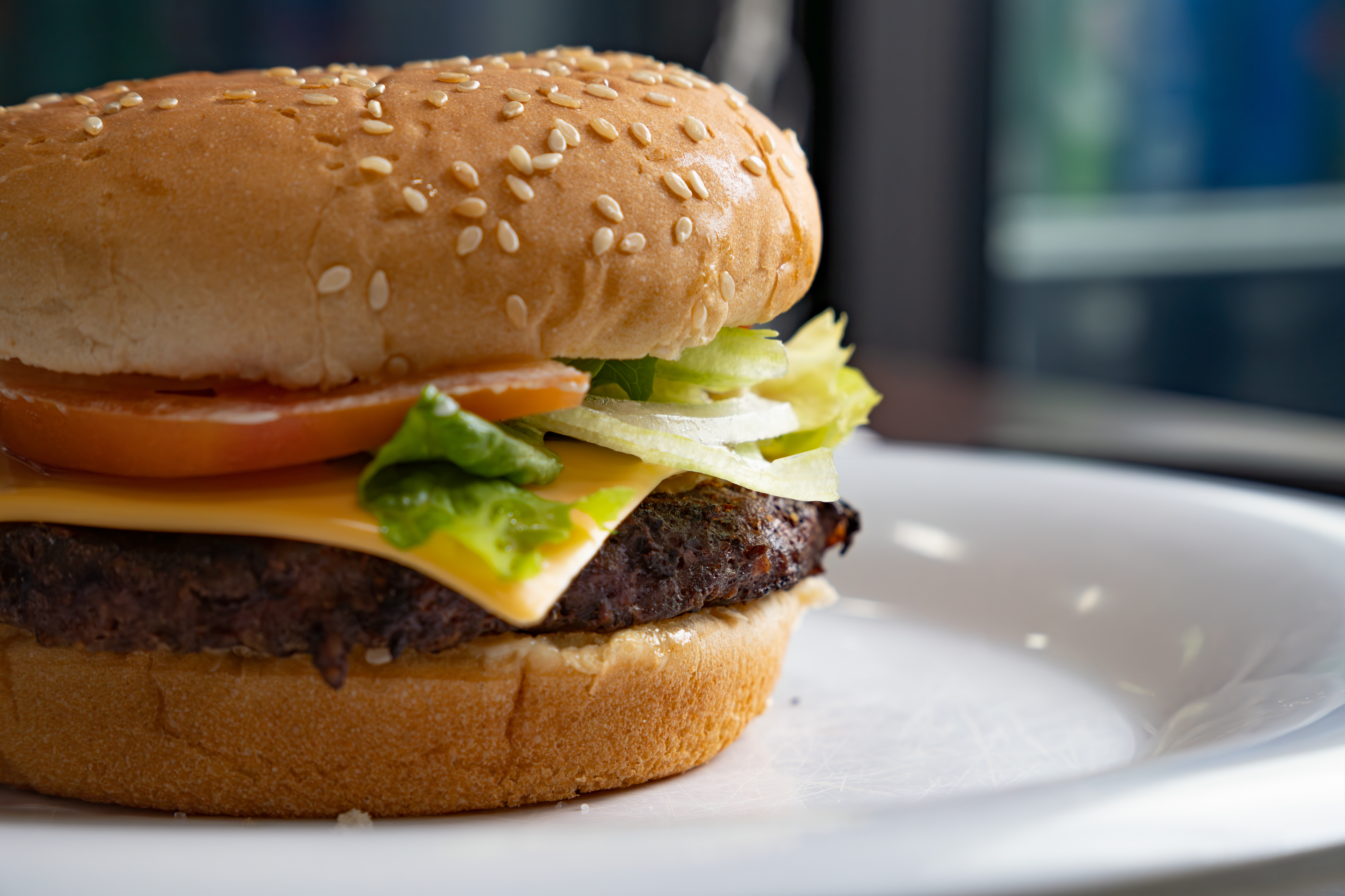 a cheeseburger on a plate