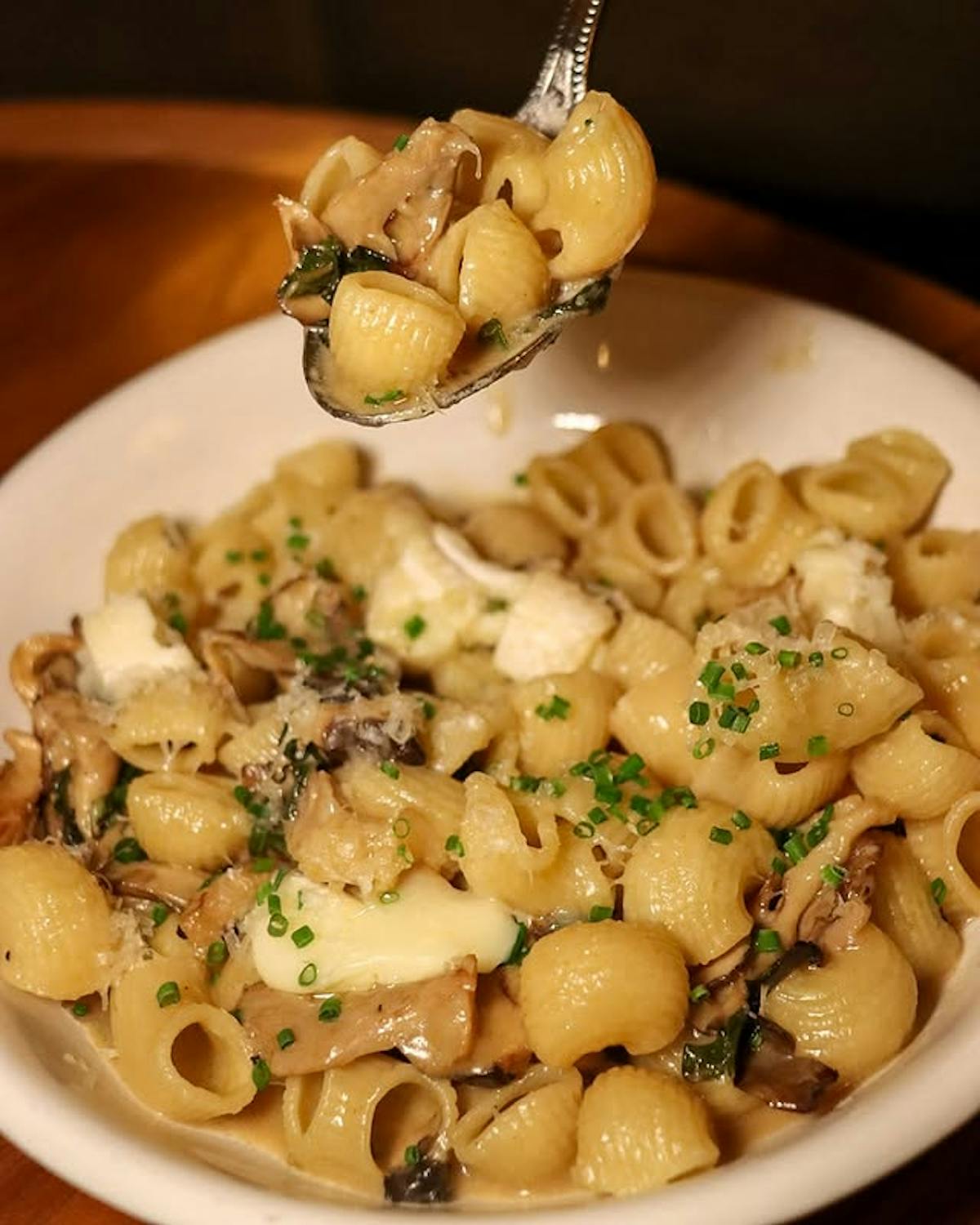 shell pasta with cheese on a white plate on a wooden table