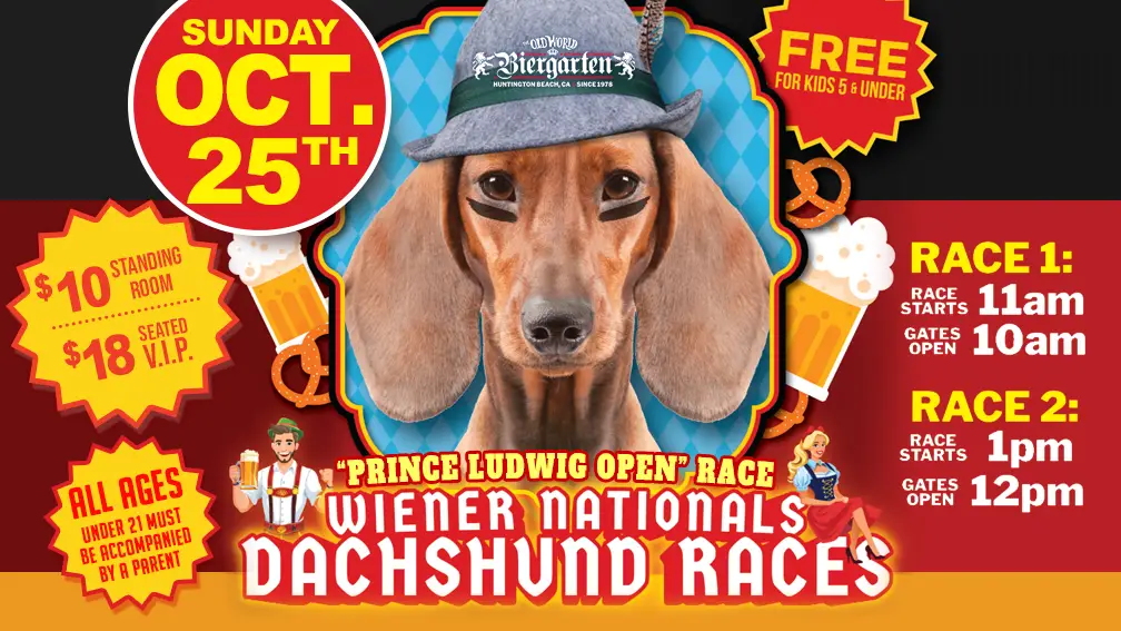 a dog wearing a hat