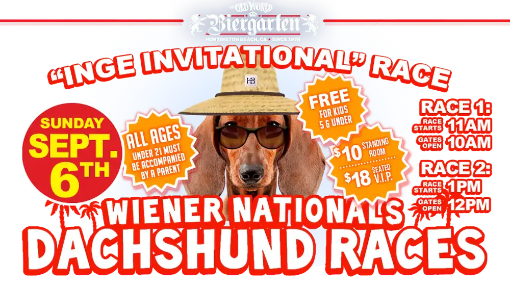 a dog wearing a hat and sunglasses