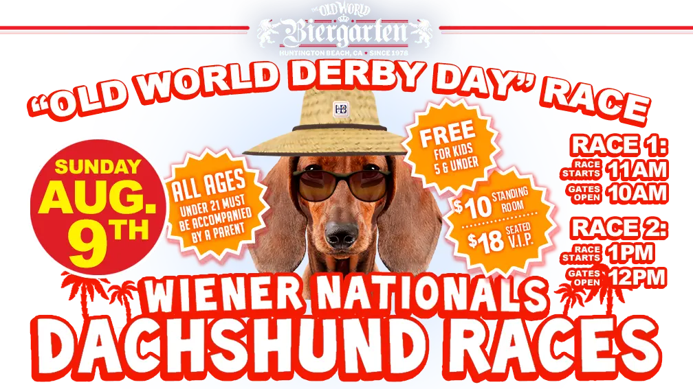 a dog wearing a hat and sunglasses