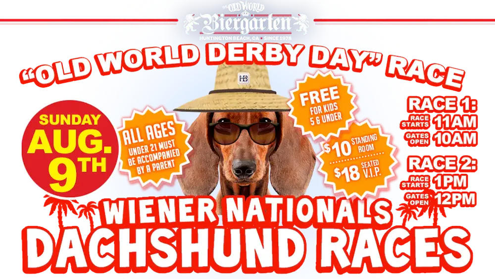 a dog wearing a hat and sunglasses