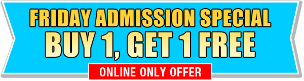 Friday Admission Special Buy 1 Get 1 Free