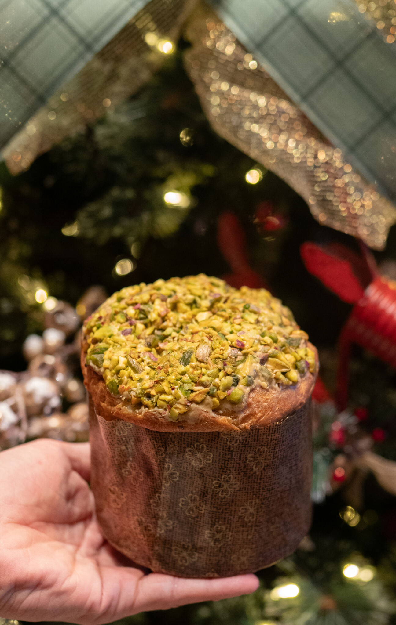 a piece of chocolate cake on a plate