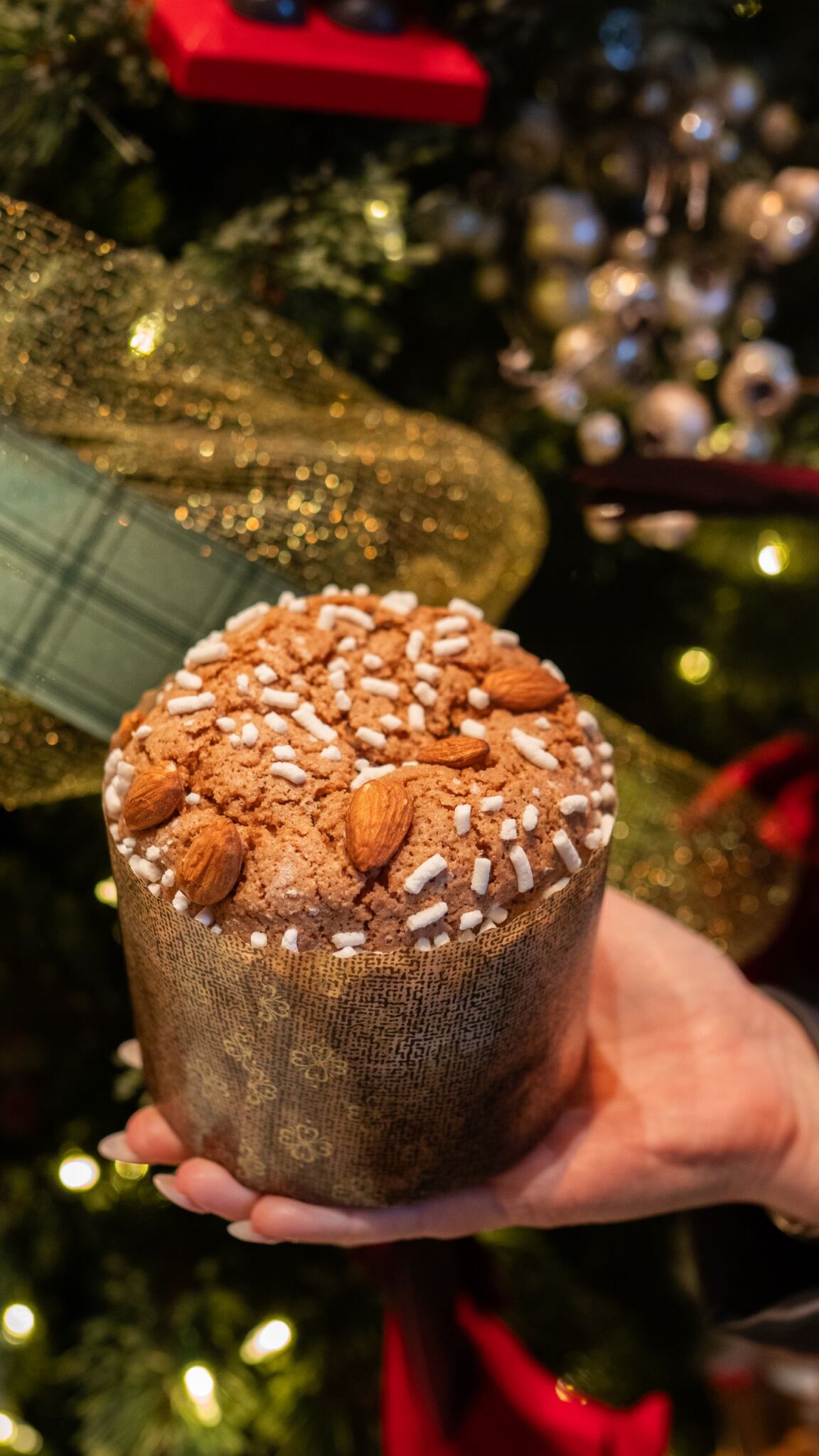 a piece of cake on a plate