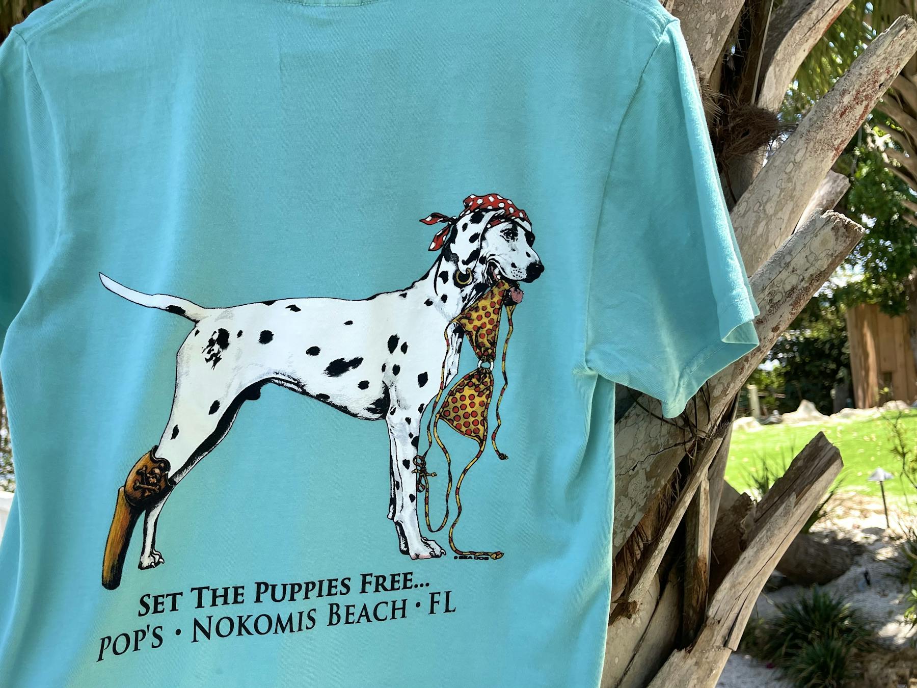 Dog sales raglan shirt