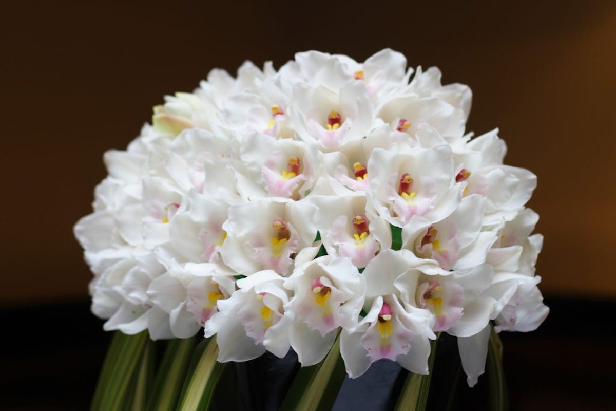 a close up of a flower