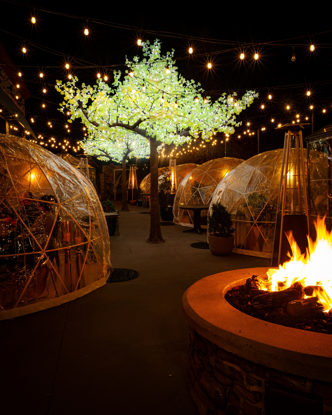 Igloo Dining