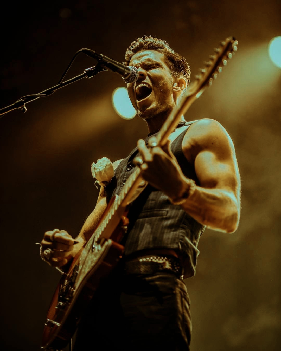 things to do in tahoe including live music, rock and roll, and cocktails seven nights a week