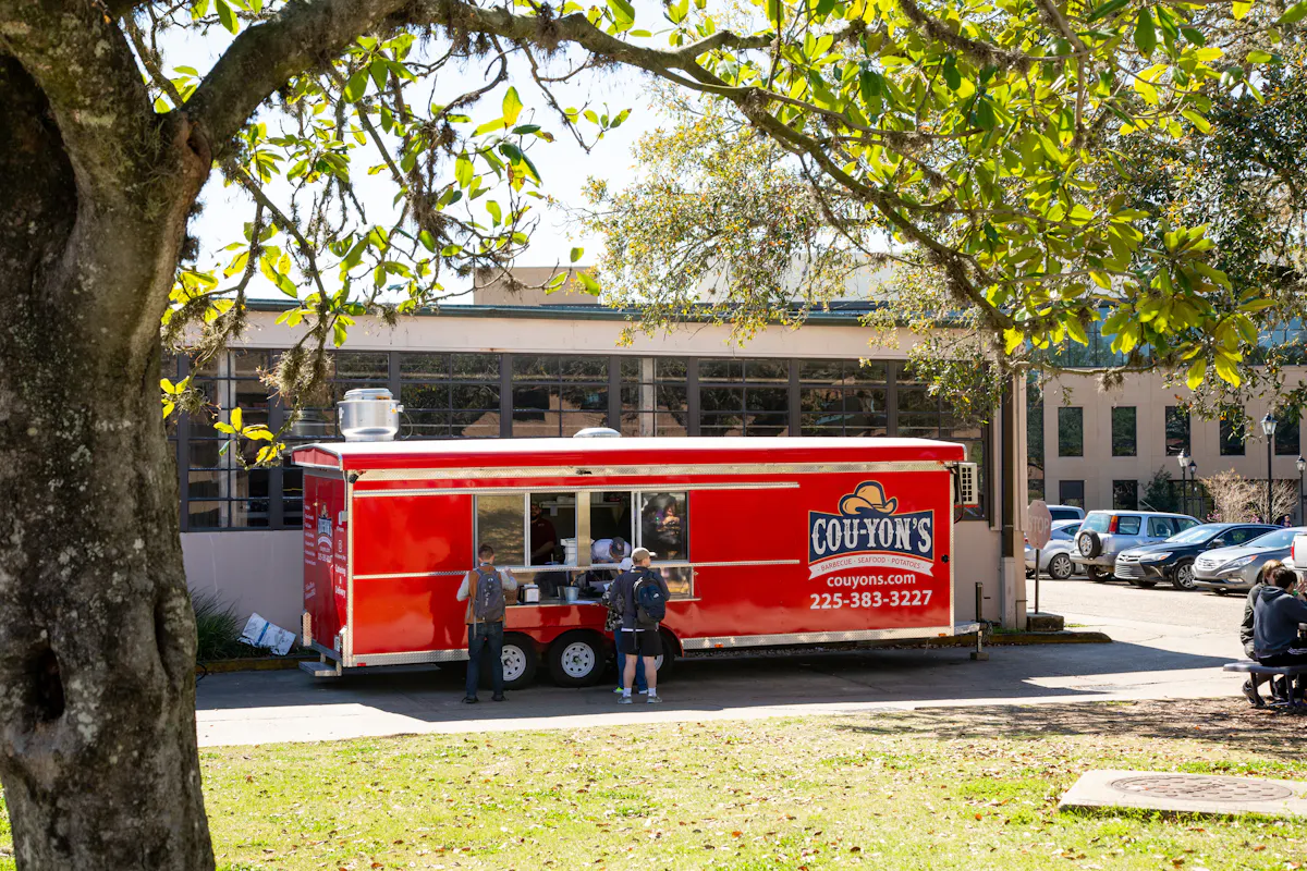 a red and white bus parked in front of a tree