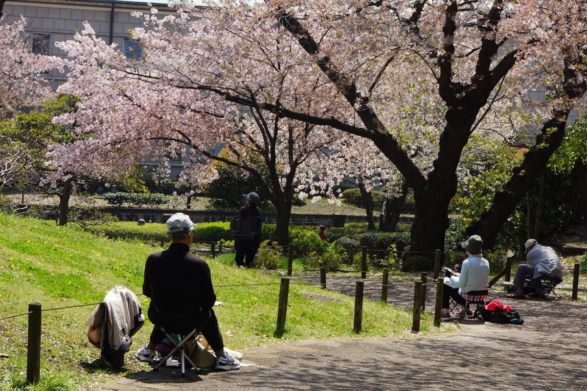 a person sitting on a bench in a park