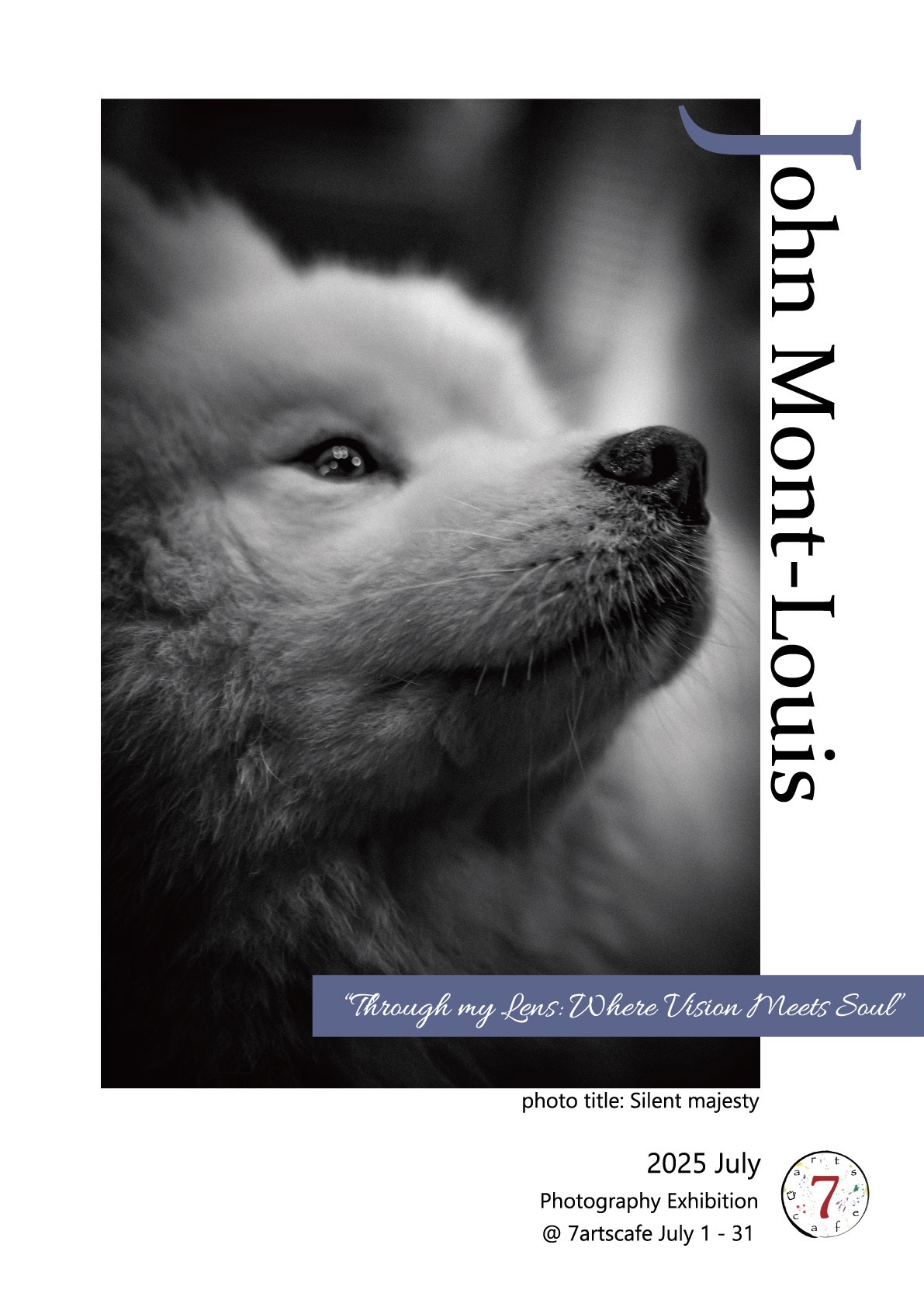 a dog looking at the camera