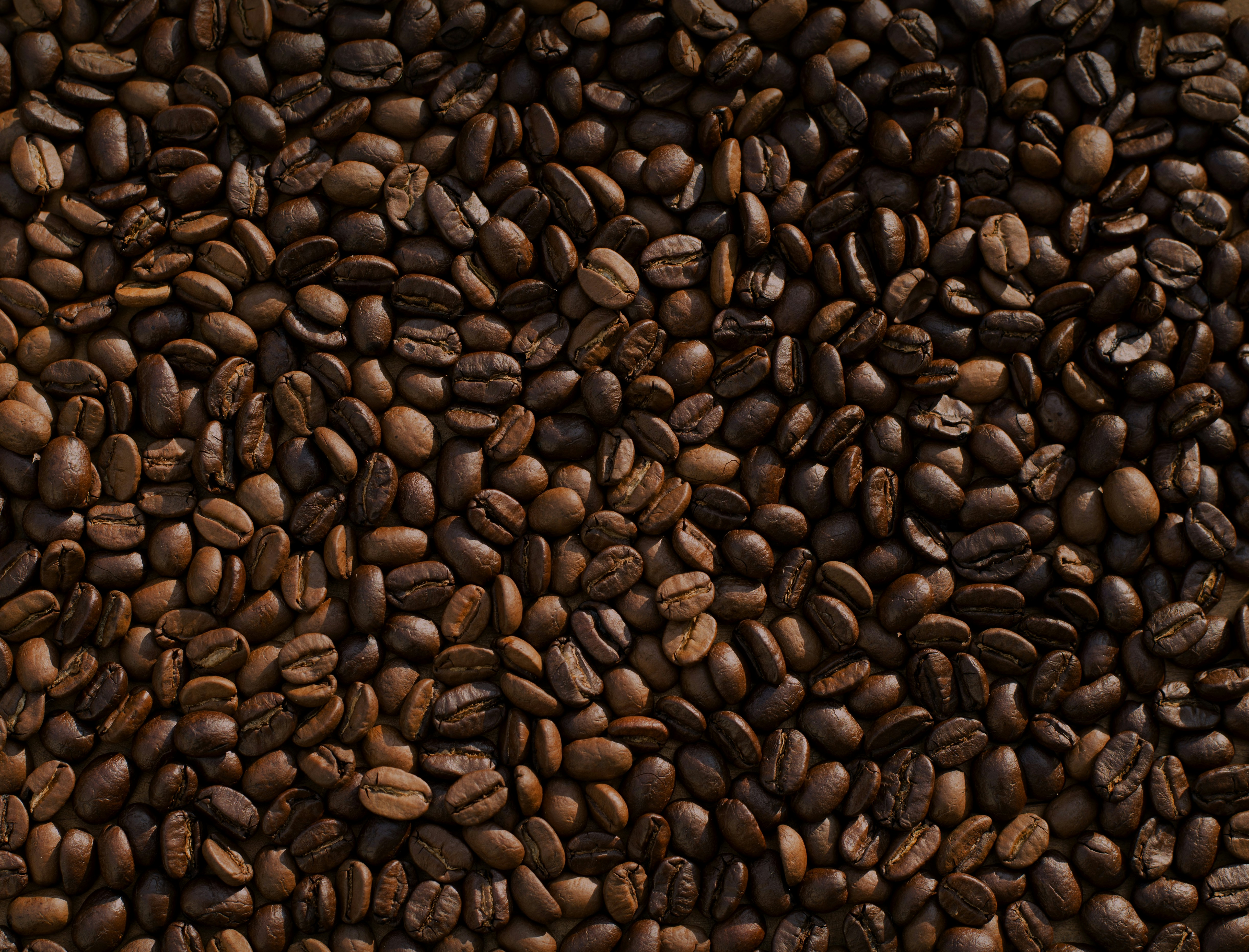 coffee beans