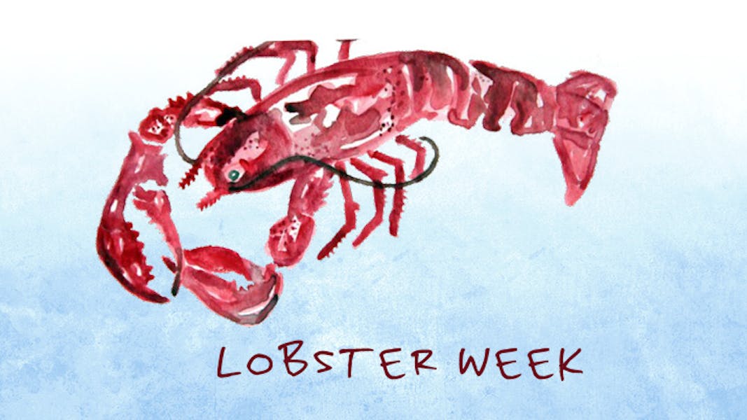 Lobster Week Lure The Best Contemporary Seafood Restaurant in Atlanta