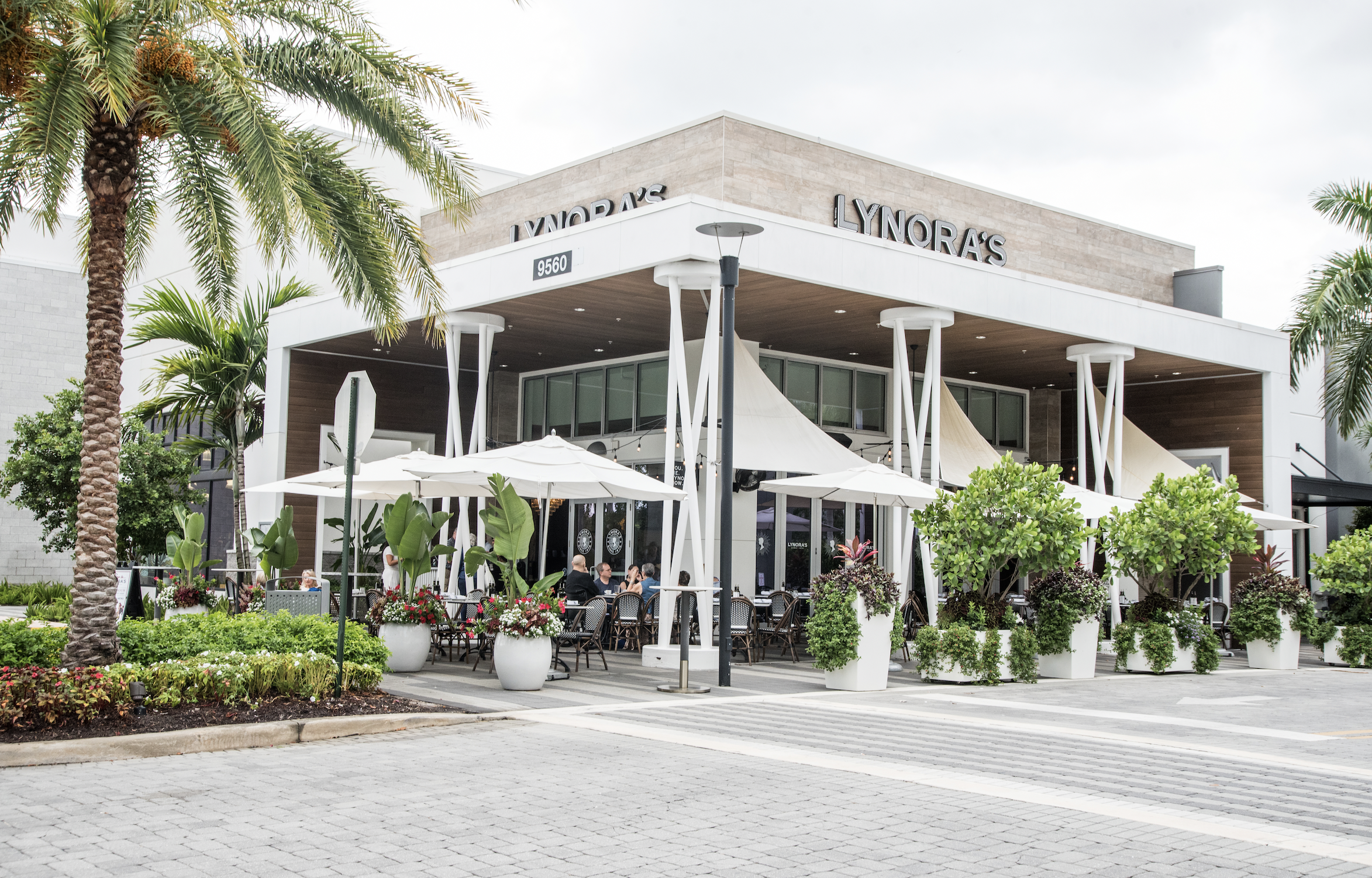 a palm tree in front of a building