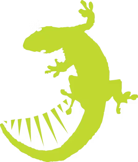 a close up of a tree