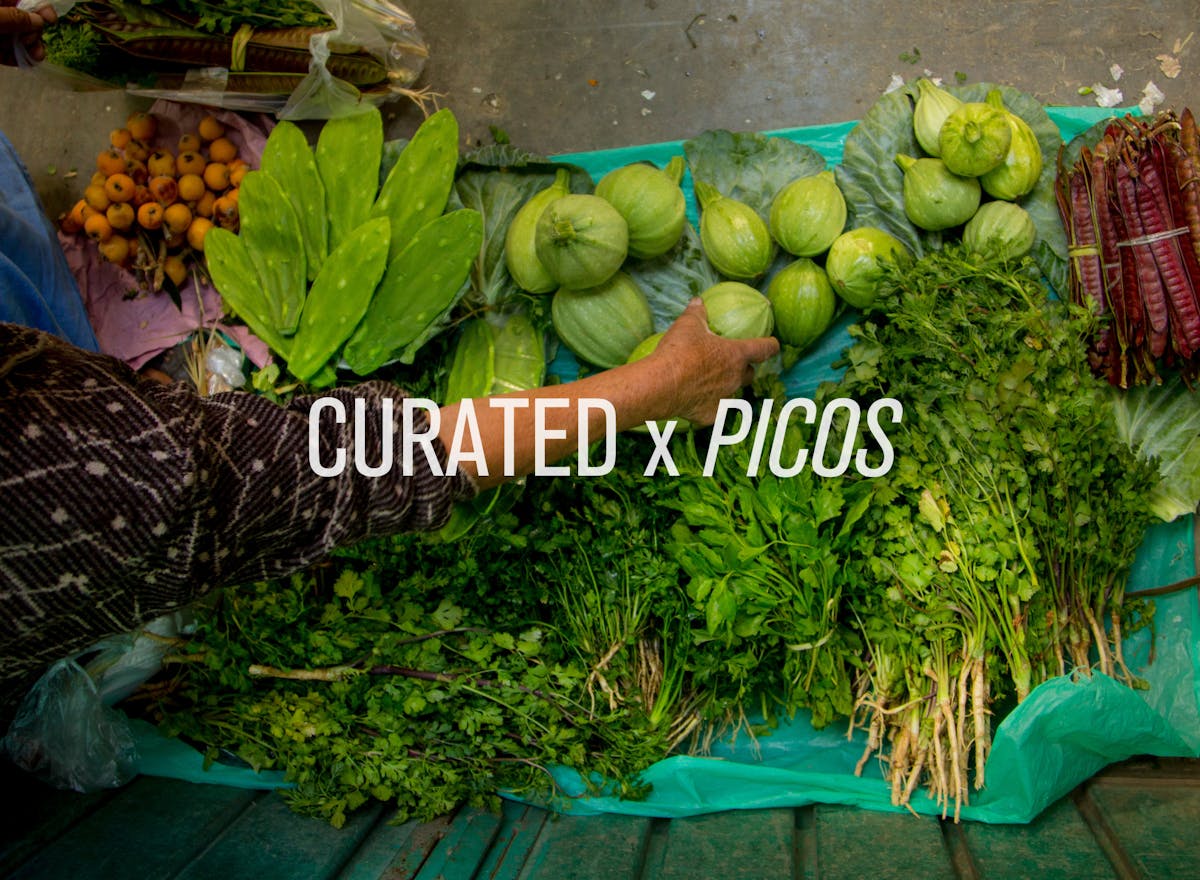 a group of fruit and vegetable stand at a Mercado in Mexico City to promote the CURATED x PICOS Dinner Series at Arnaldo Richards' Picos Restaurant in Houston, Texas.