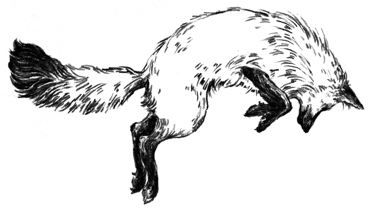 fox in the snow logo