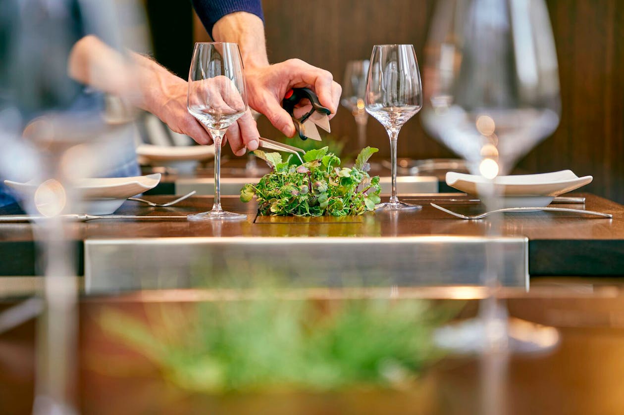 a person holding a wine scissors over plant on a table