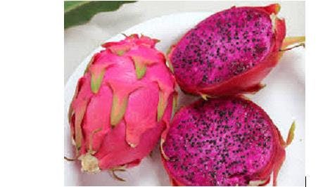 a close up of food on a plate