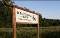 a sign on a wooden pole