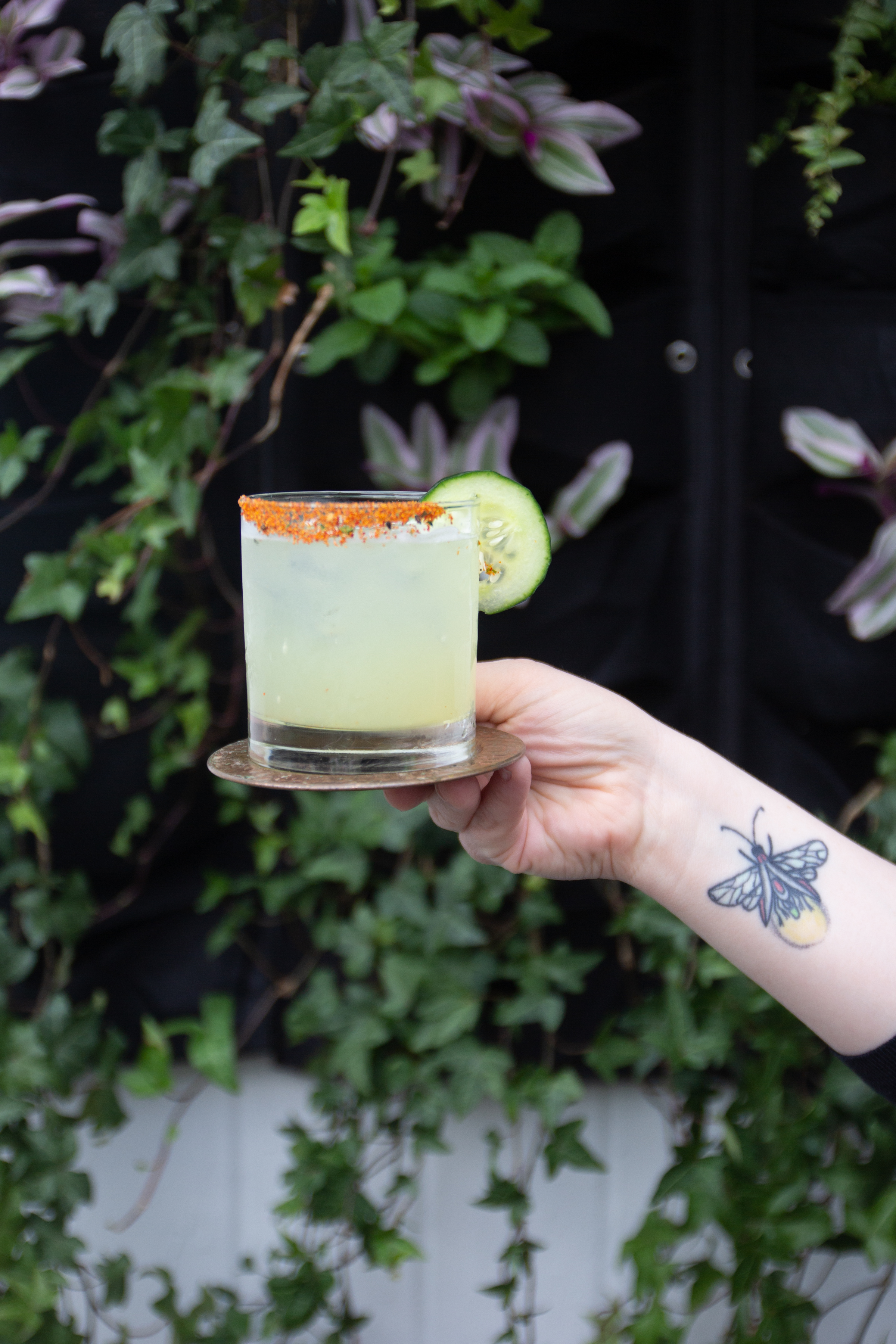 a hand holding a flower