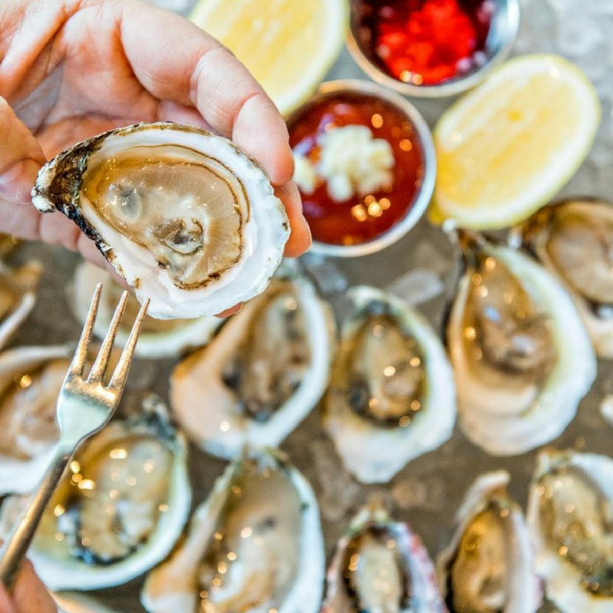 eating a tray of oysters