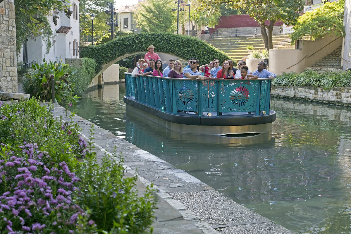 a small boat in a garden