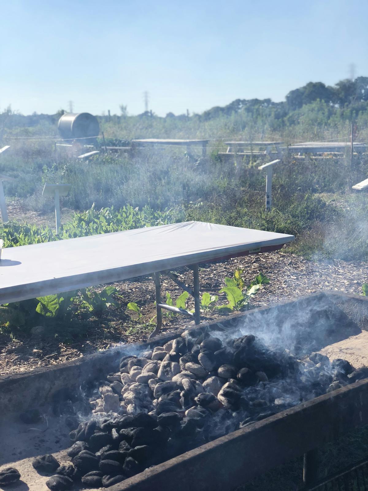 meat on an outdoor grill